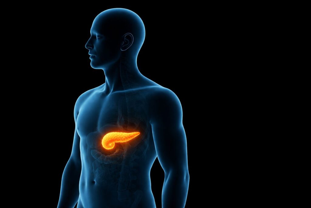 Imagem ilustrativa de um corpo humano com foco no pâncreas, ilustrando a pancreatite
